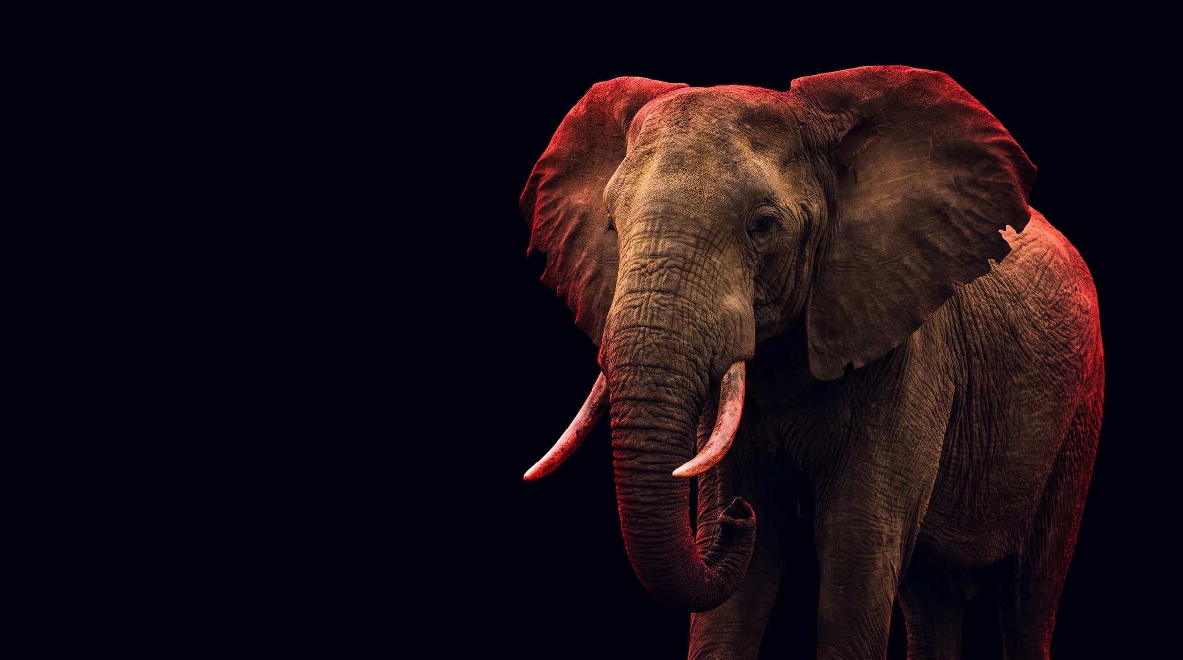 Elefante iluminado en rojo sobre fondo negro, símbolo de CAPOSA